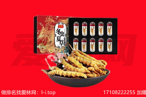 西安市鄠邑回收虫草.jpg